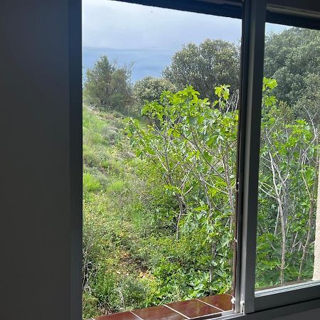 Apartaments La Pertusa 2O Corca  외부 사진