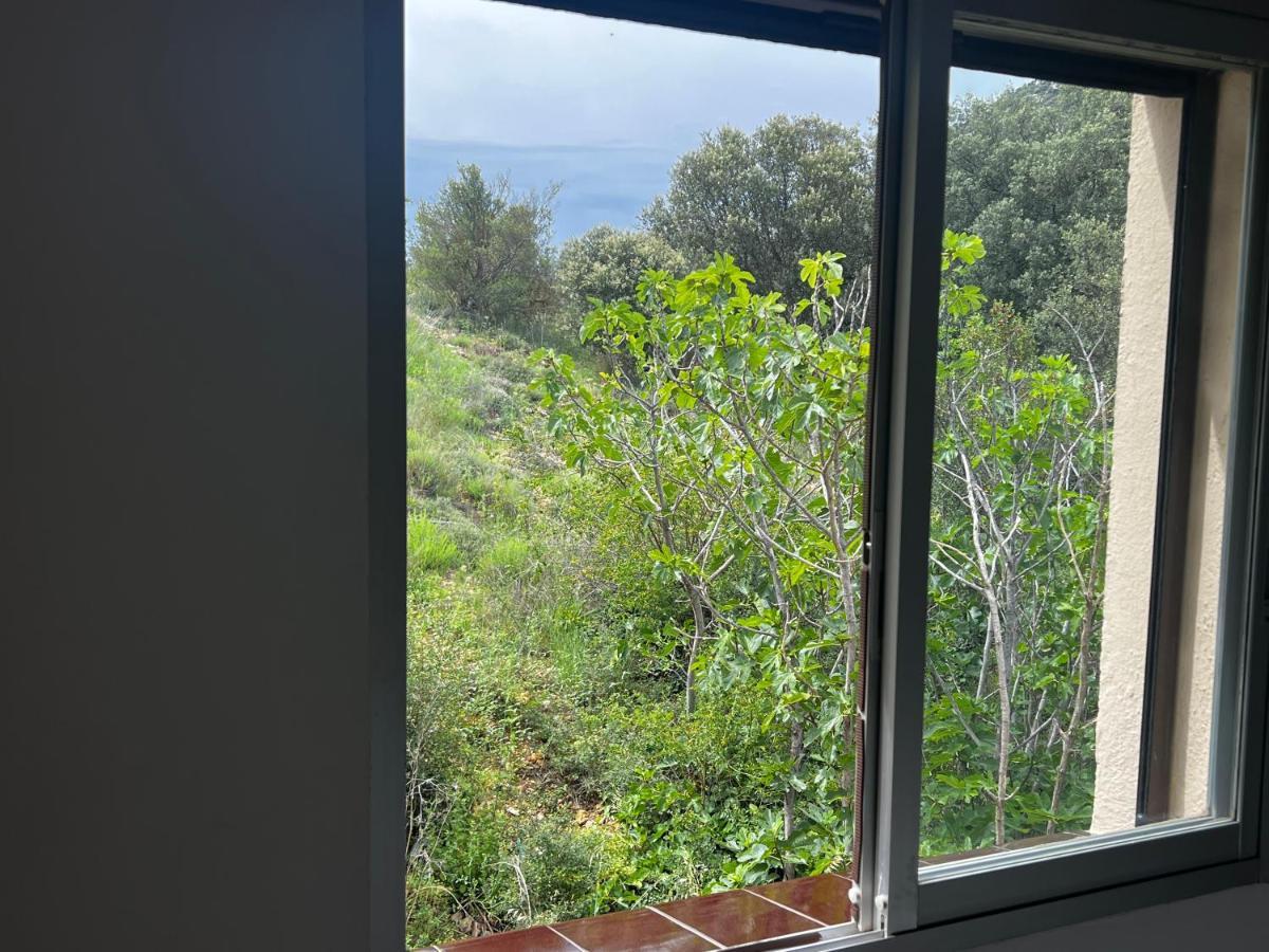 Apartaments La Pertusa 2O Corca  외부 사진